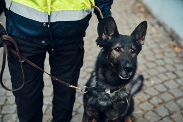 Studium: Bezpečnostní management - Kriminalistika a kriminologie - Ambis