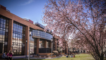 Carlos III University of Madrid - Erasmus+ Ambis