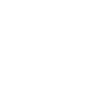 NECSTouR logo