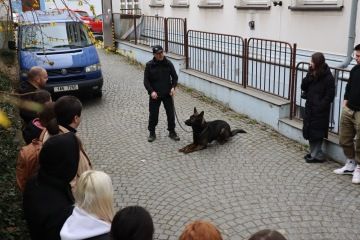 Ukázka práce psovoda